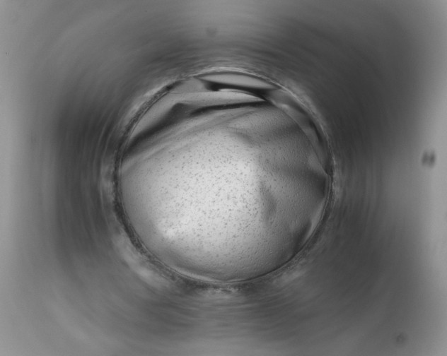 X0000113560386200910091420