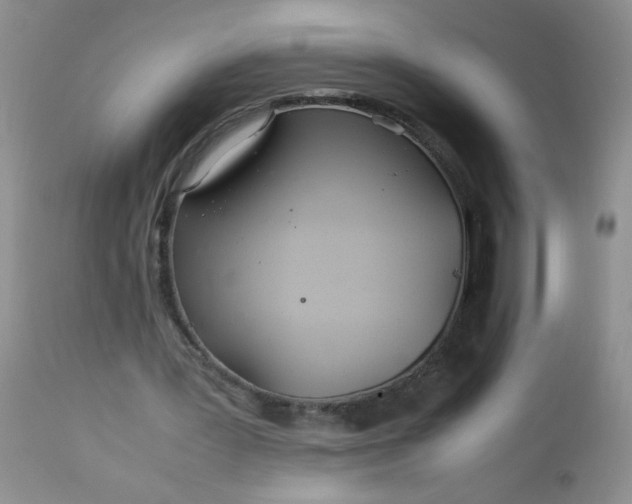 X0000113560387200910091420