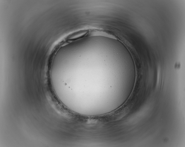 X0000113560388200910091420