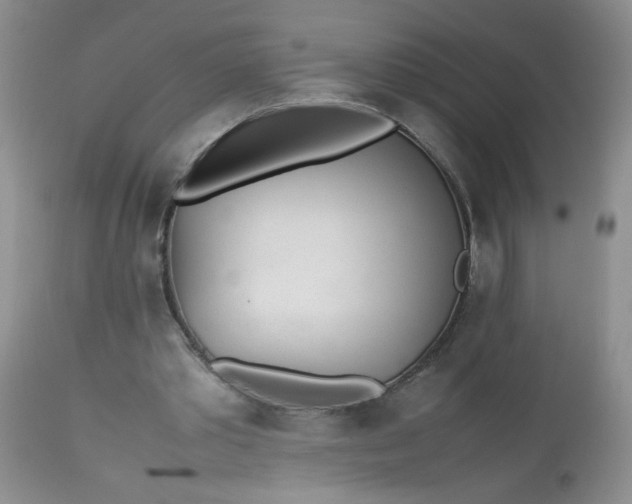 X0000113560389200910091420