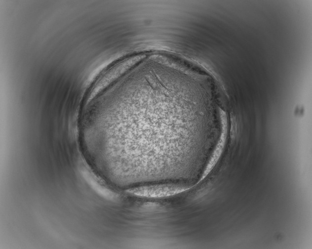 X0000113560390200910091420