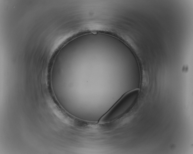 X0000113560391200910091420