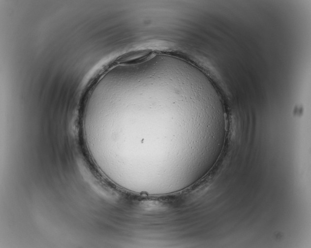 X0000113560392200910091420