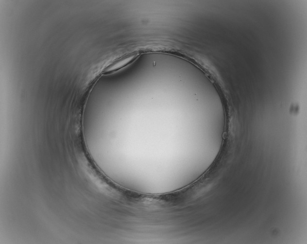 X0000113560393200910091420