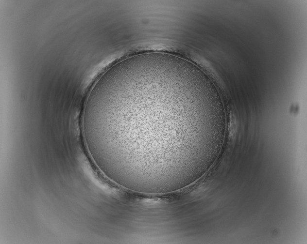 X0000113560394200910091420