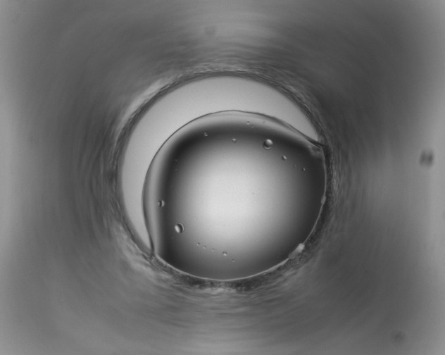 X0000113560395200910091420