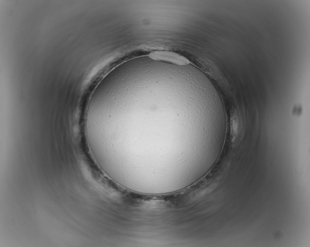 X0000113560396200910091420