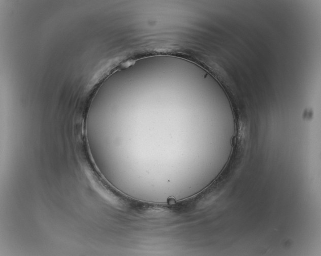 X0000113560397200910091420