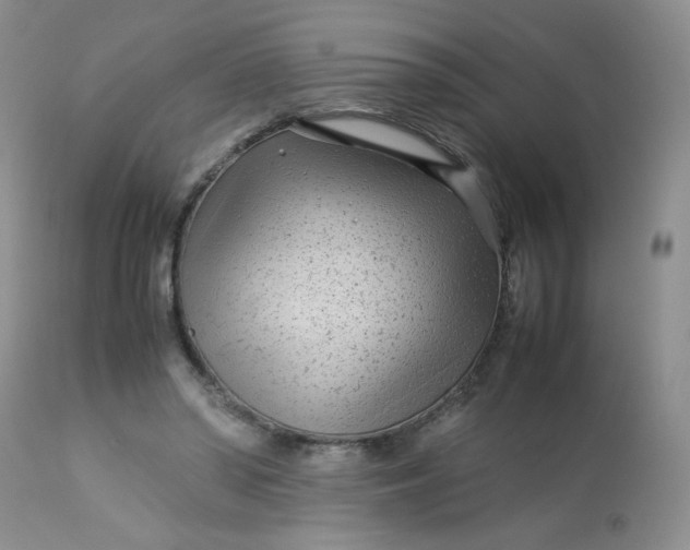 X0000113560398200910091420