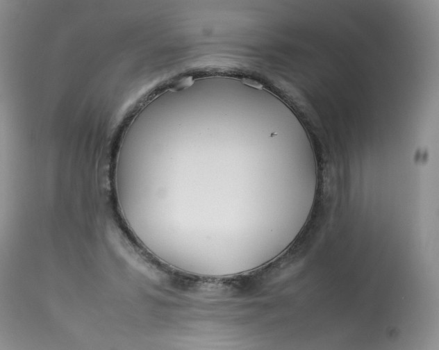 X0000113560399200910091420