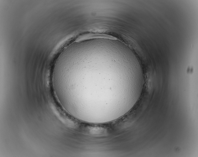 X0000113560400200910091420