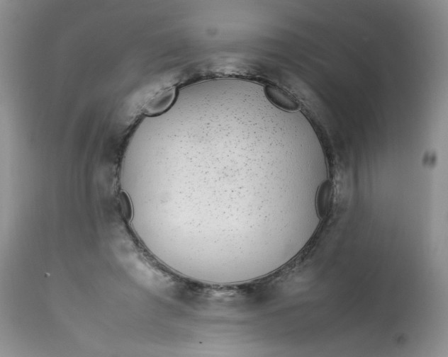 X0000113560401200910091420