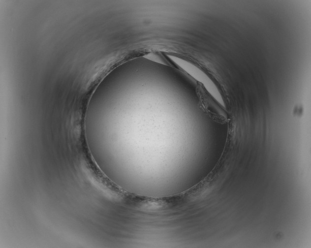 X0000113560402200910091420