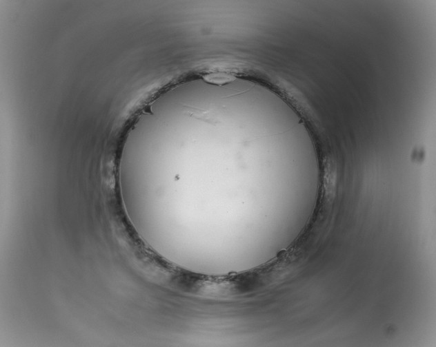 X0000113560403200910091420