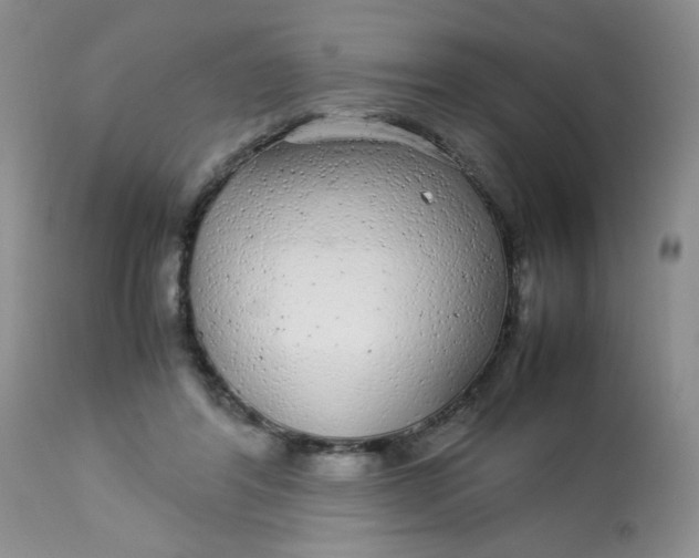 X0000113560404200910091420