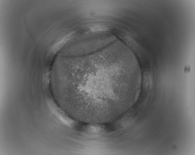 X0000113560405200910091419