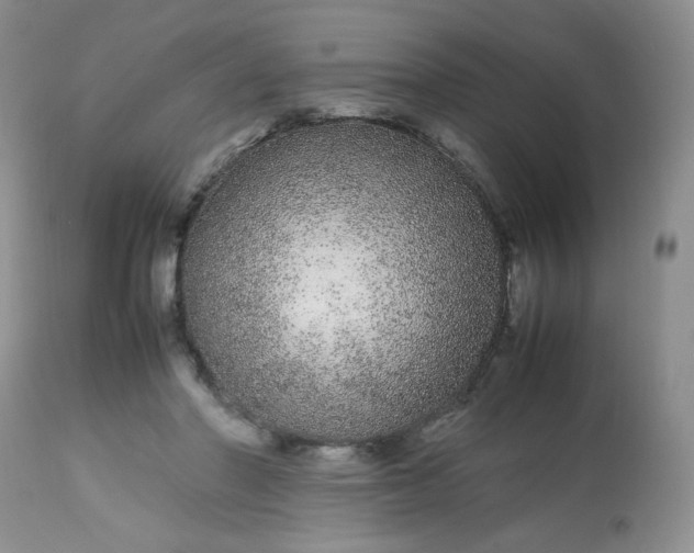 X0000113560406200910091419