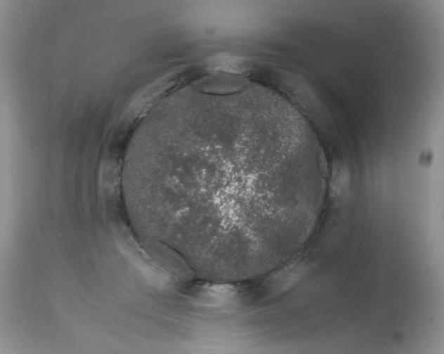 X0000113560409200910091419