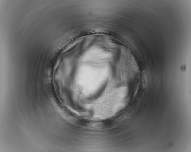 X0000113560410200910091419