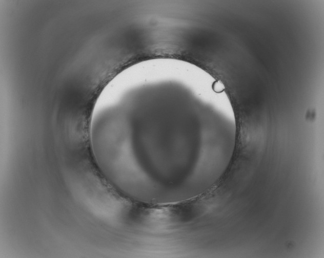 X0000113560411200910091419