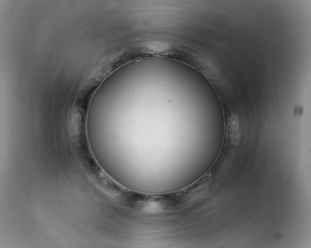 X0000113560412200910091419