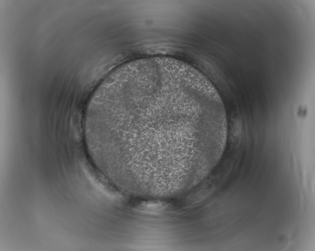 X0000113560414200910091419