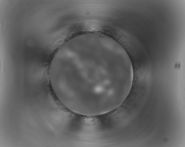 X0000113560415200910091419