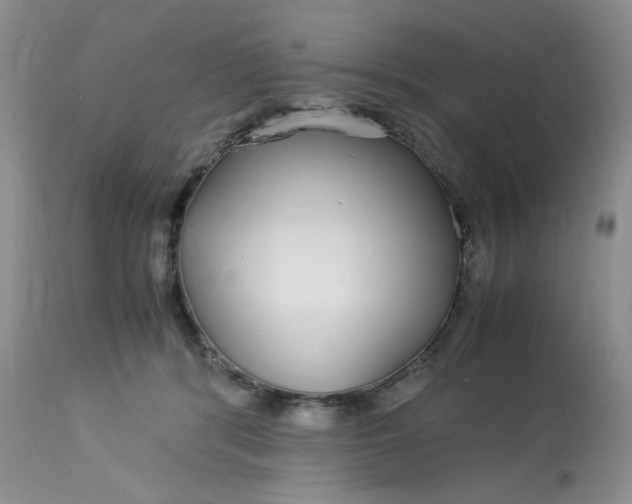 X0000113560416200910091419