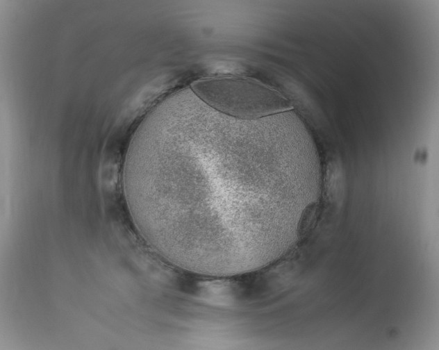 X0000113560417200910091419