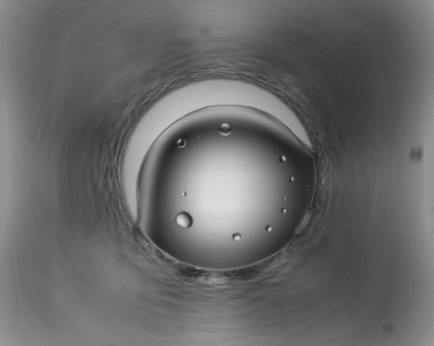 X0000113560419200910091419