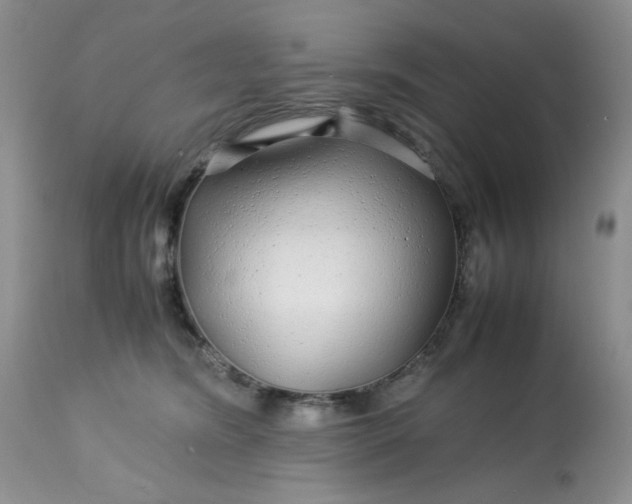X0000113560420200910091419
