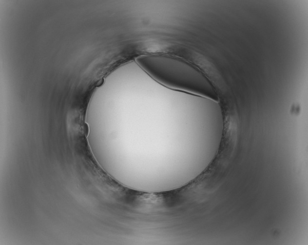 X0000113560421200910091419