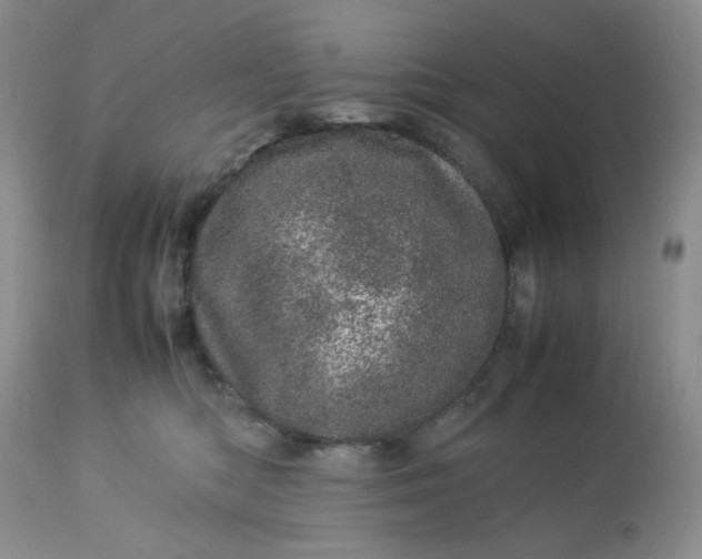 X0000113560422200910091419