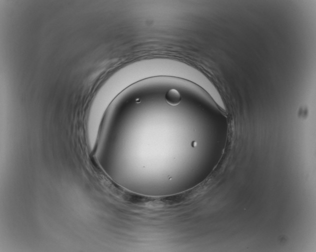 X0000113560423200910091419