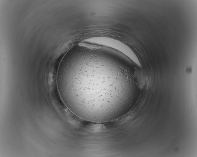X0000113560424200910091419