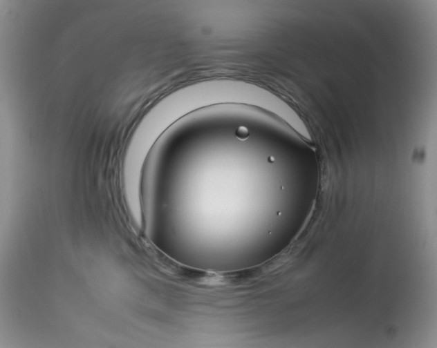 X0000113560425200910091419
