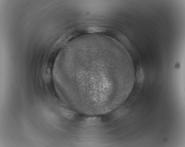 X0000113560426200910091419