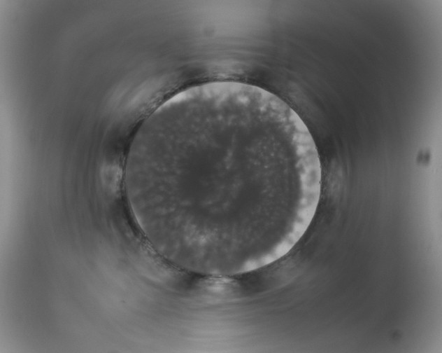 X0000113560427200910091419