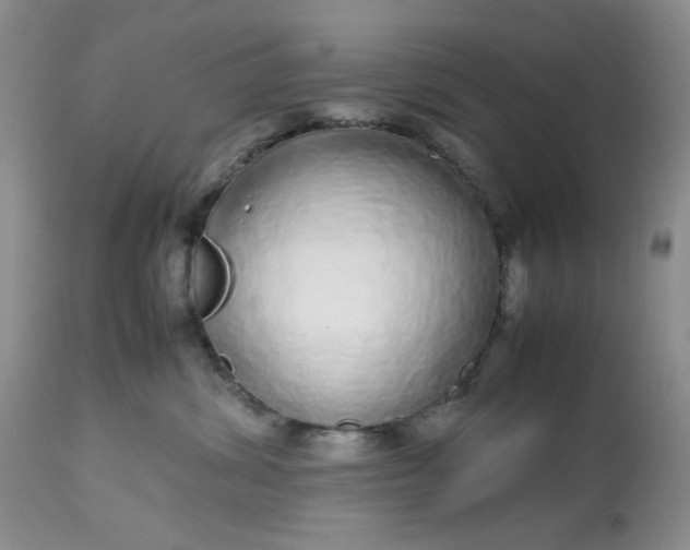 X0000113560428200910091419