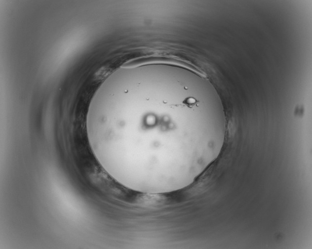 X0000113560429200910091419