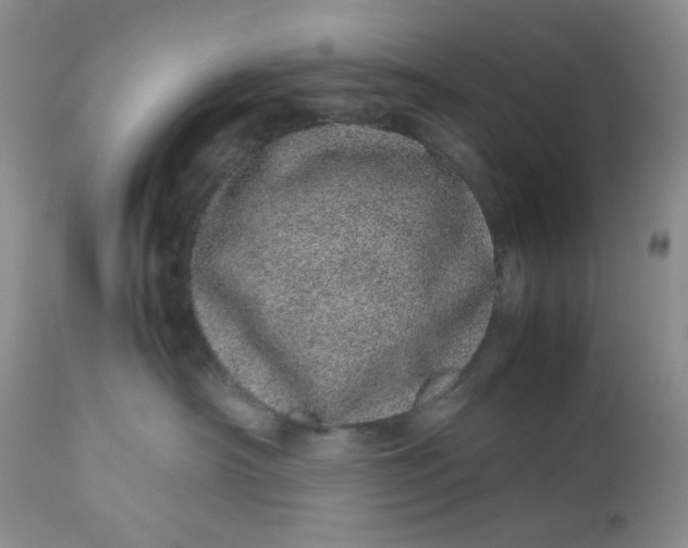 X0000113560430200910091419