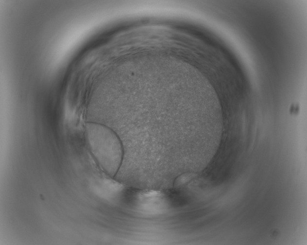 X0000113560431200910091419