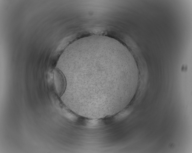 X0000113560432200910091419