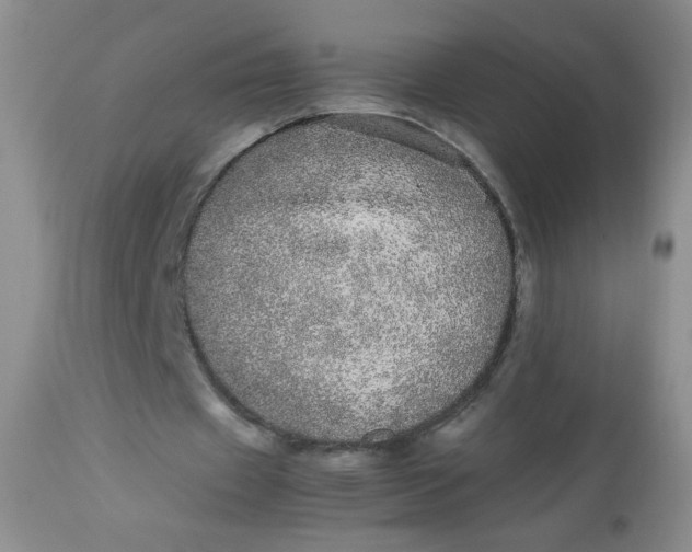 X0000113560433200910091418