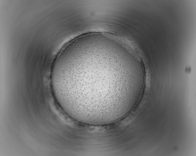 X0000113560434200910091418