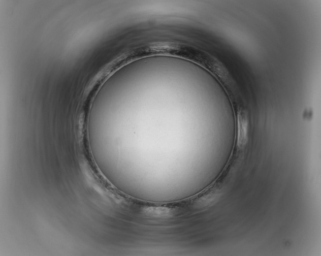 X0000113560435200910091418
