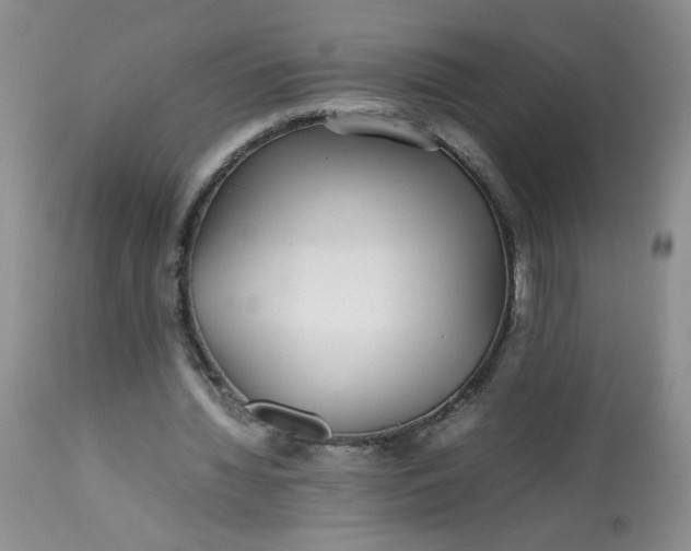 X0000113560436200910091418