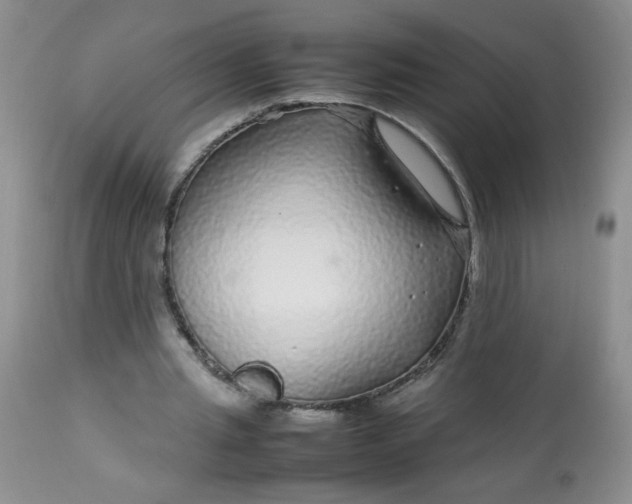 X0000113560437200910091418