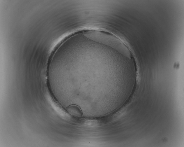 X0000113560438200910091418