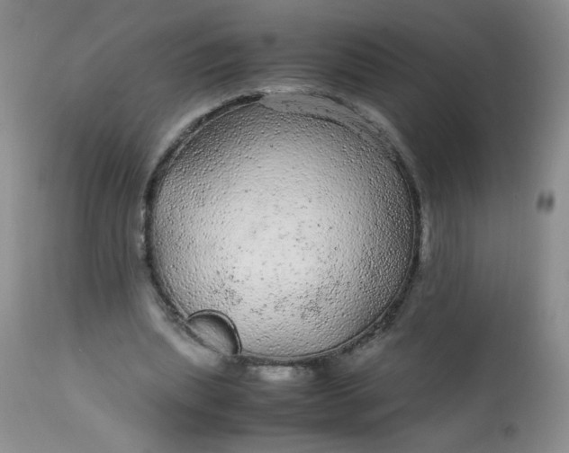 X0000113560439200910091418